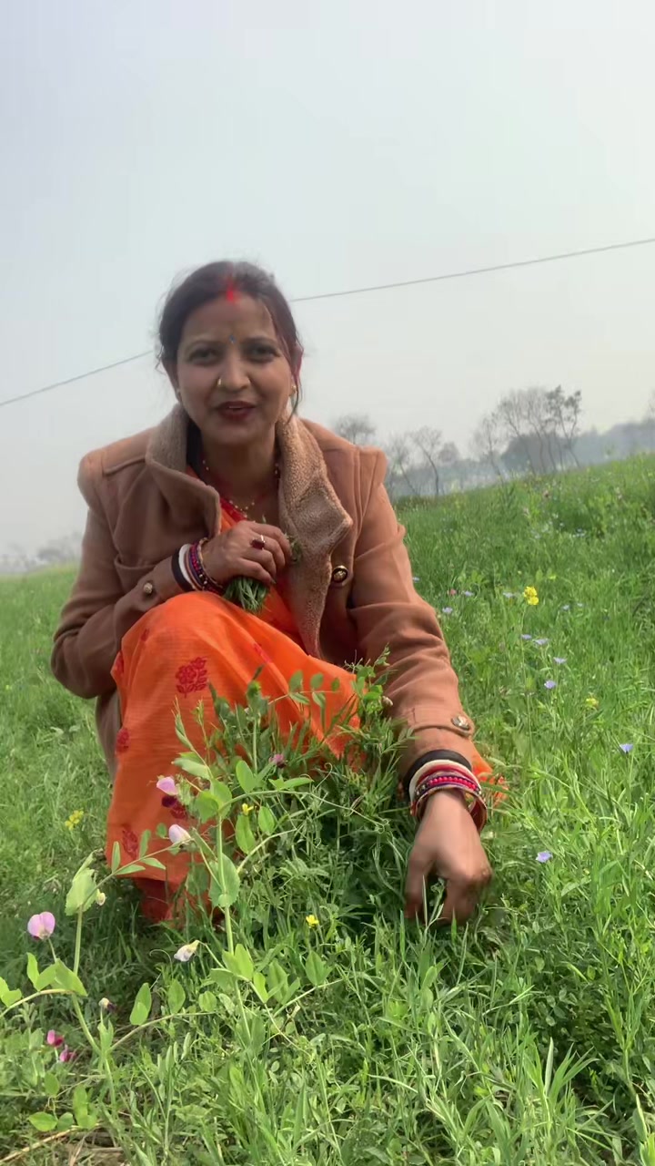 @Sunita Sharma