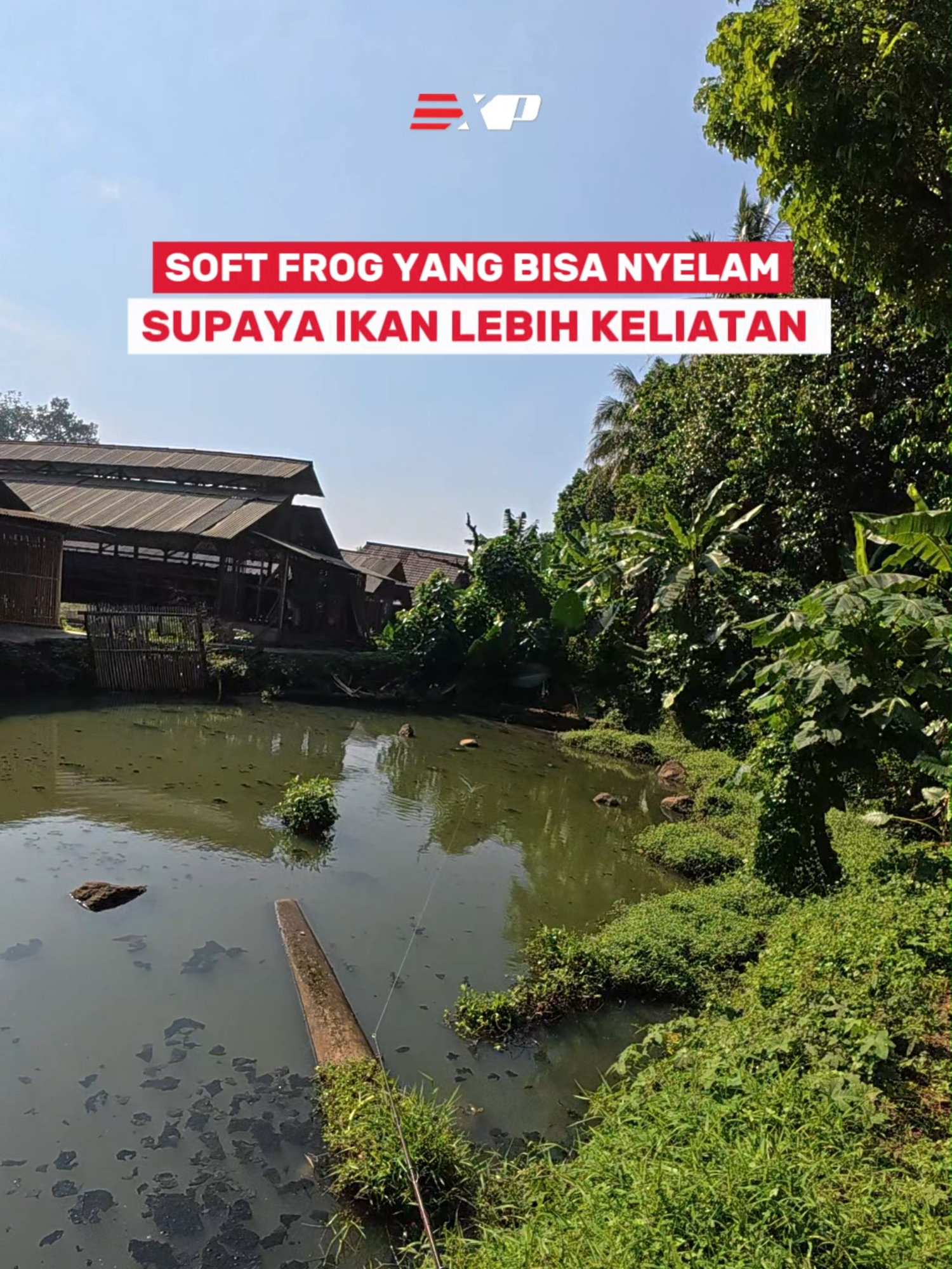 @Si Pemburu Gabus