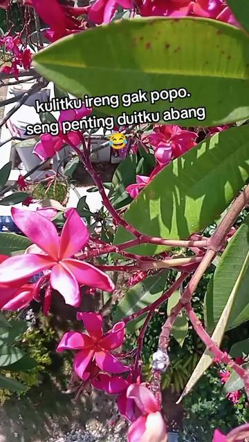 @ES KOPI GULA AREN ๐ฅ