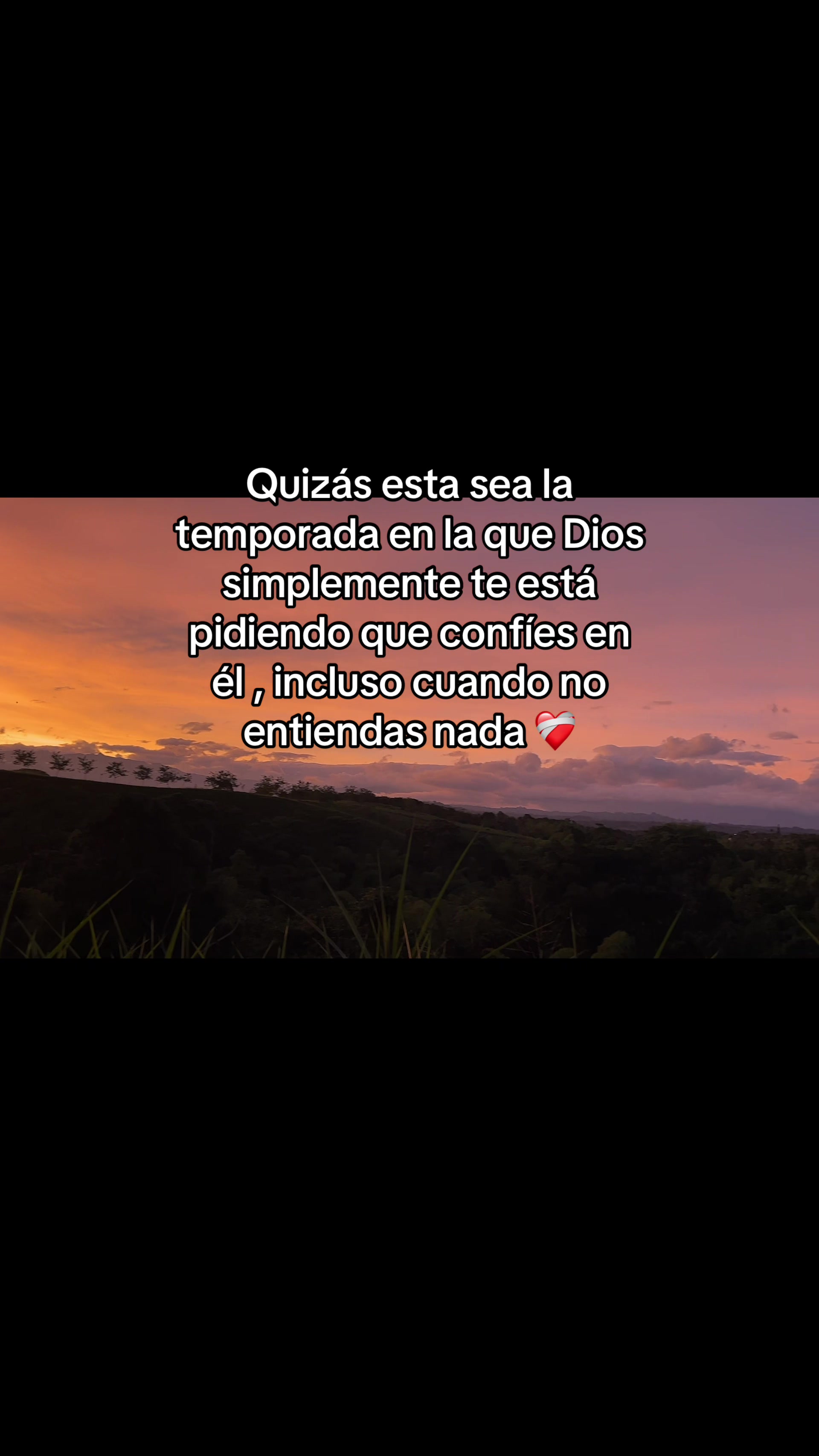 @Juliana Montenegro