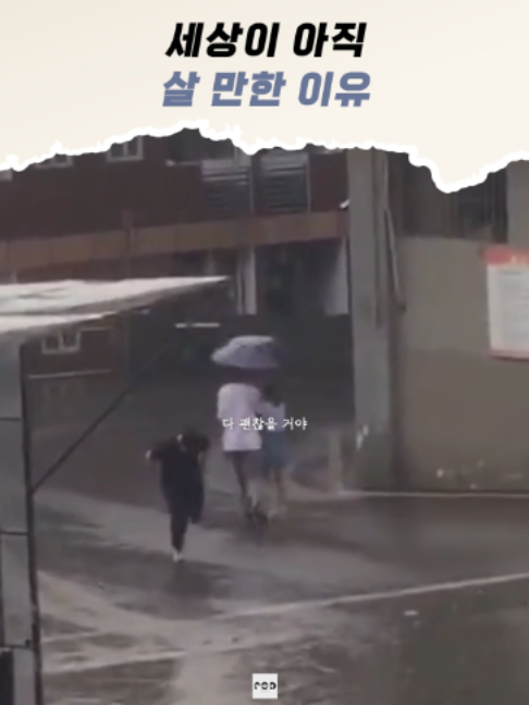 @일담플