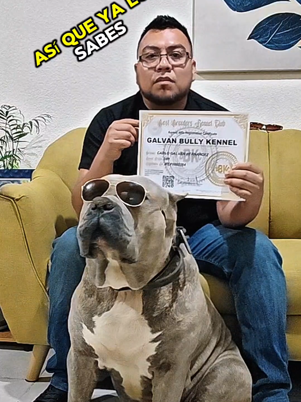 @GALVAN BULLY KENNEL OFFICIAL