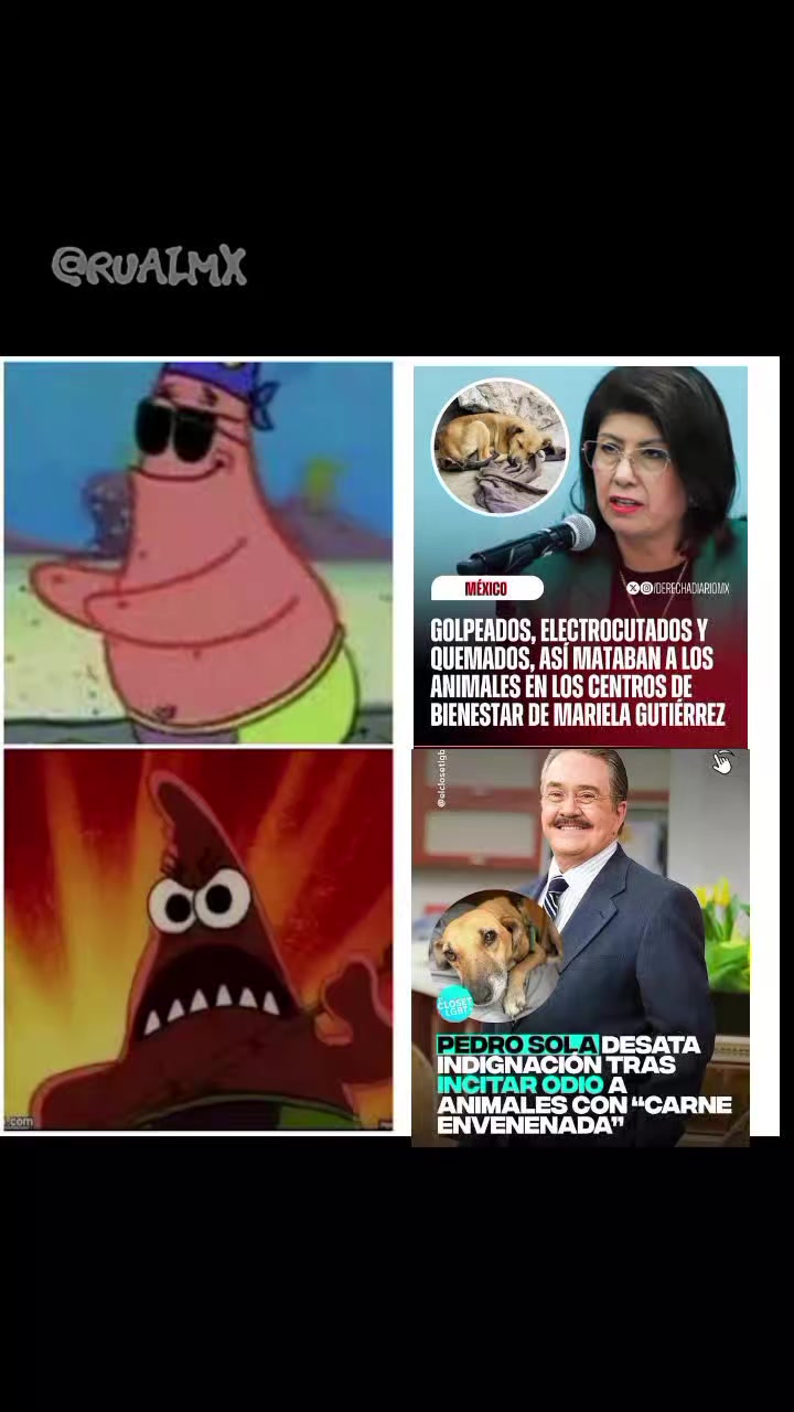 @Rualmx