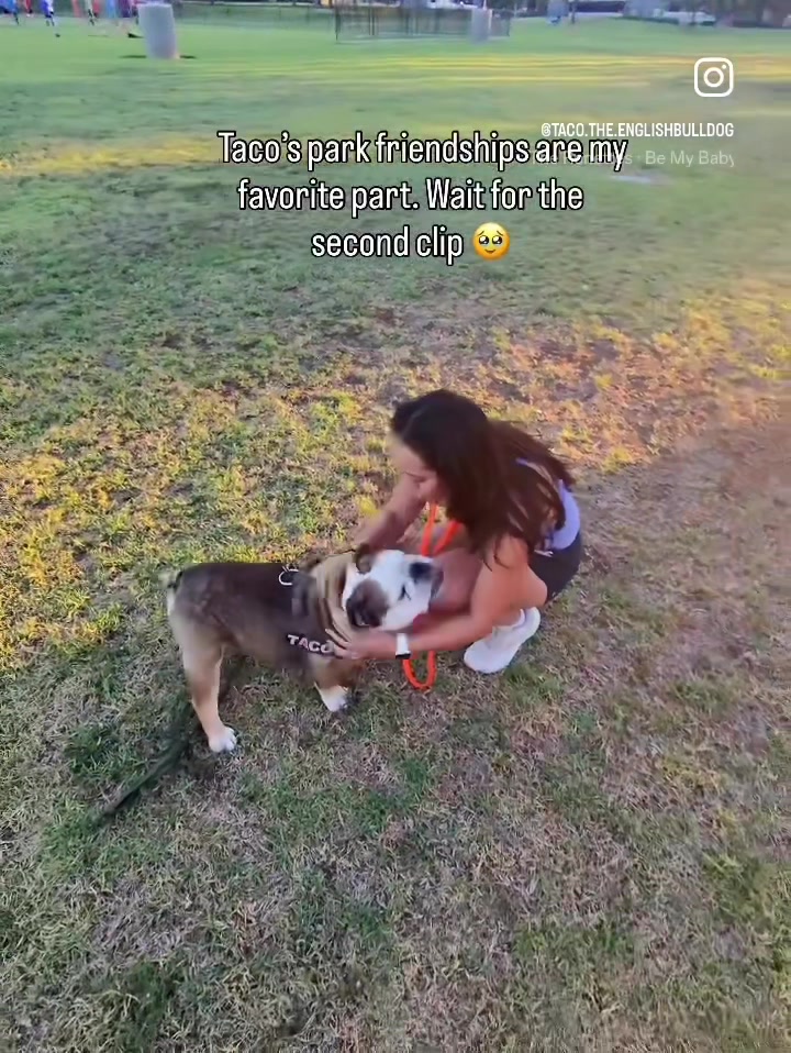@Taco 🐶🧿