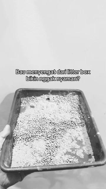 @wulanfebria