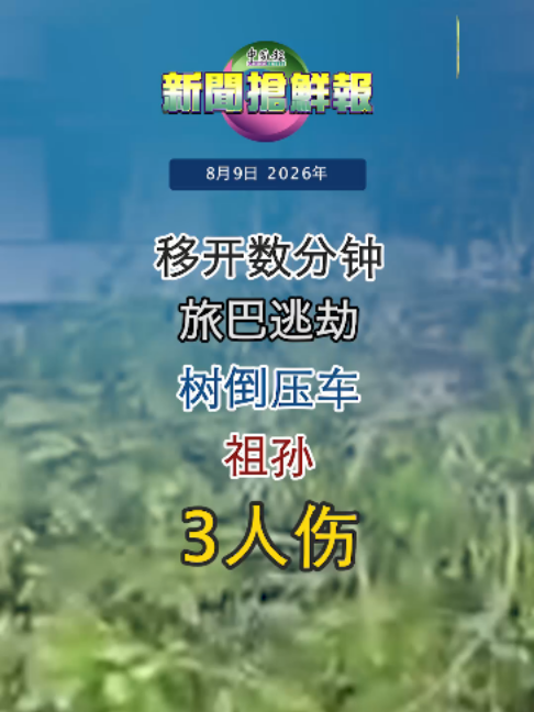 @中国报