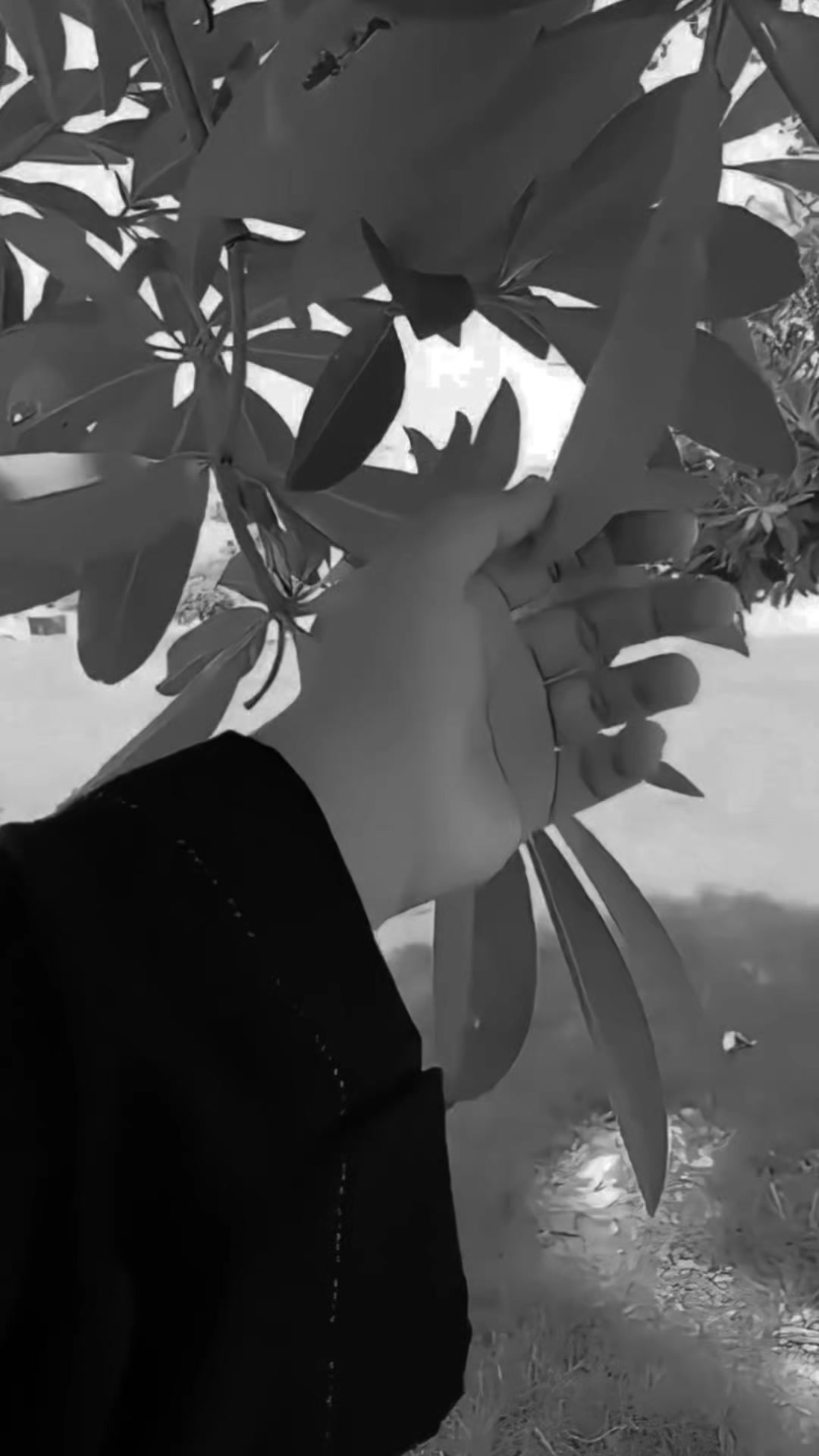 @♛أمـيـࢪة 𝐀𝐦𝐢𝐫𝐚♛