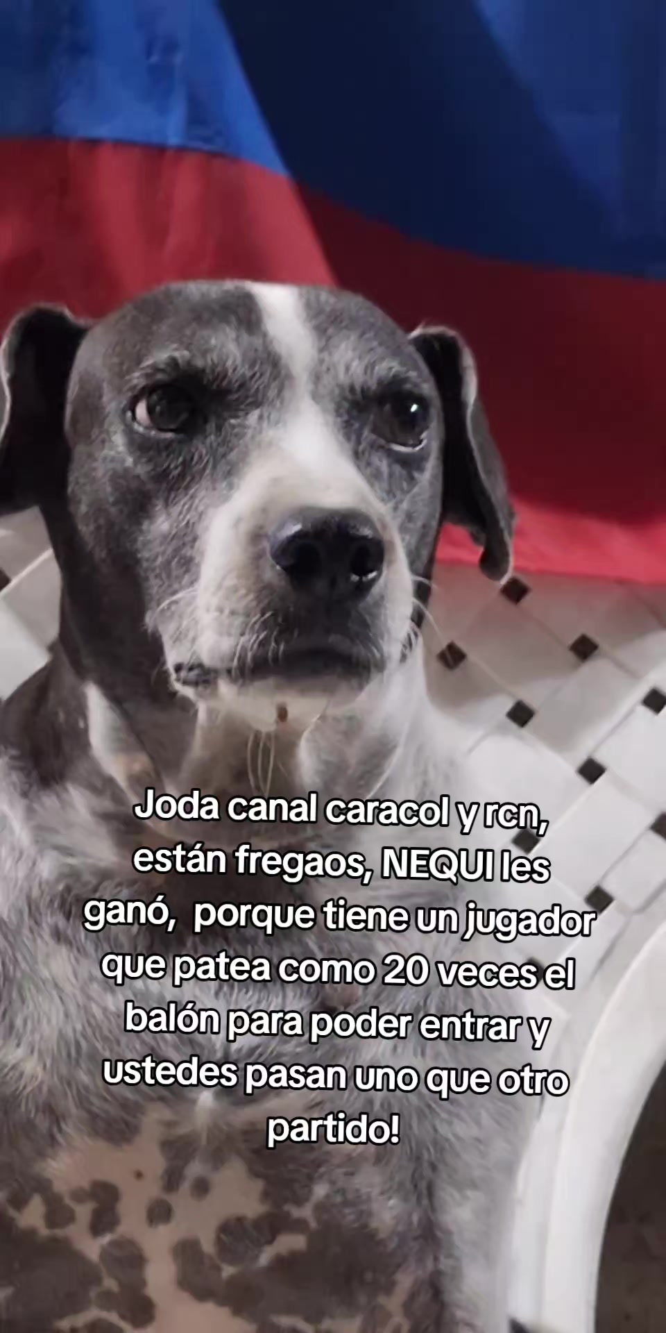 @MANCHAS 0714 OFICIAL
