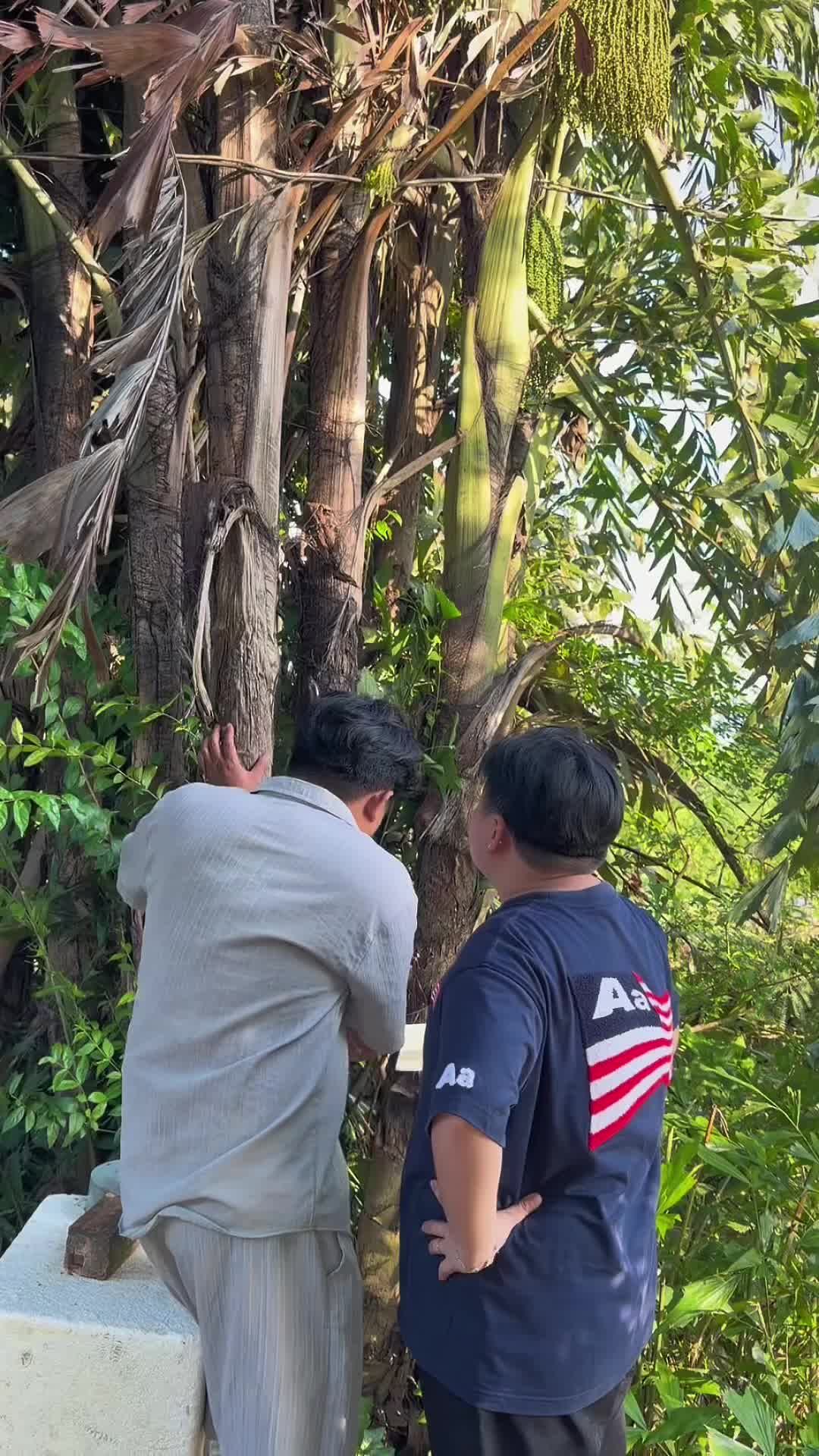 @Mặt Bự Thích Nấu Ăn