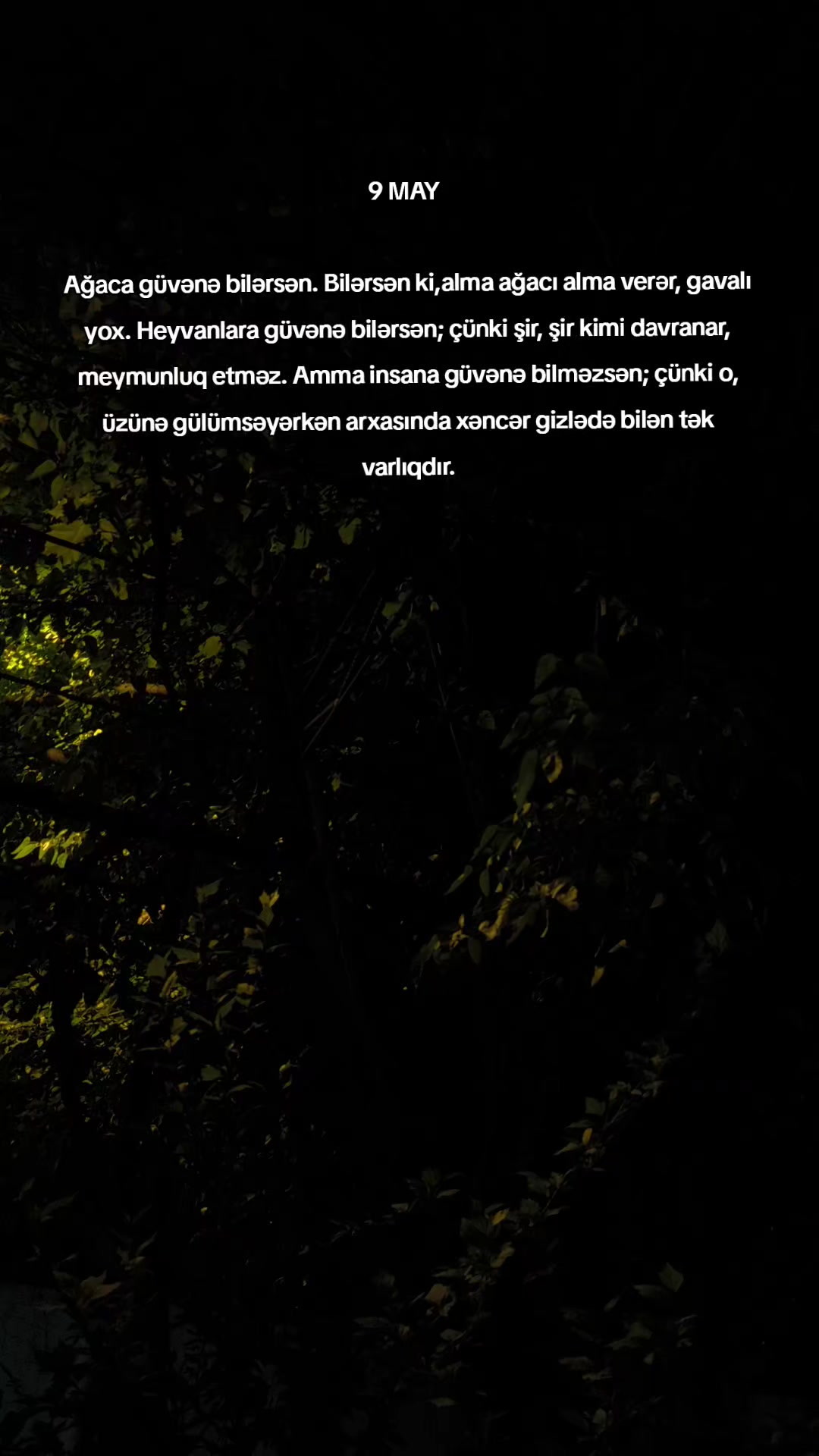 @Qruz Vaxtı