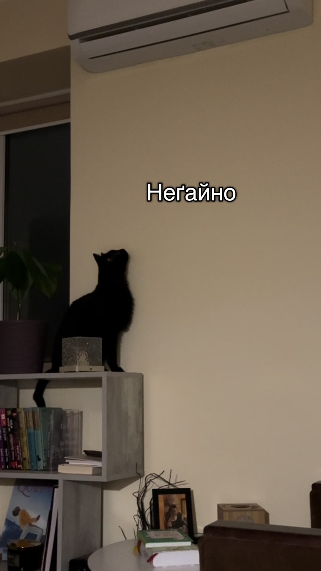 @Корнелія Удовенко