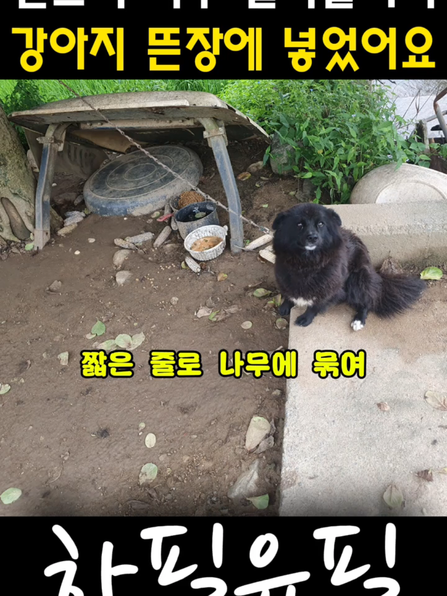 @하필유필