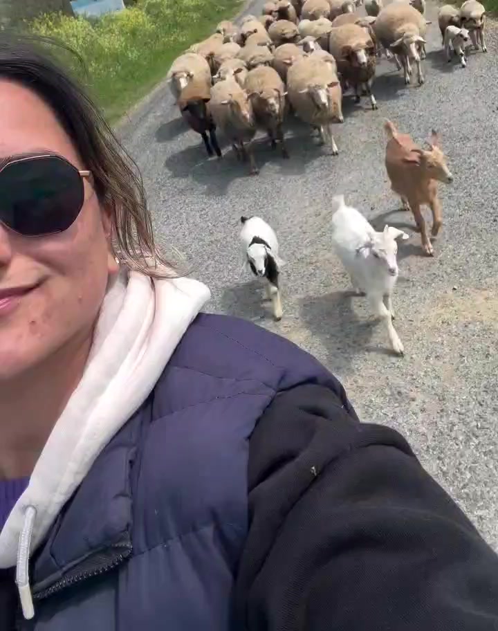 @Fermer qız 023