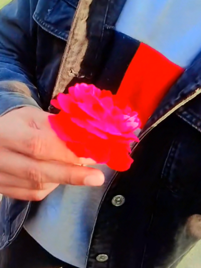 @🤍𝕊𝕚𝕝𝕖𝕟𝕥 𝔽𝕦𝕛𝕚💗
