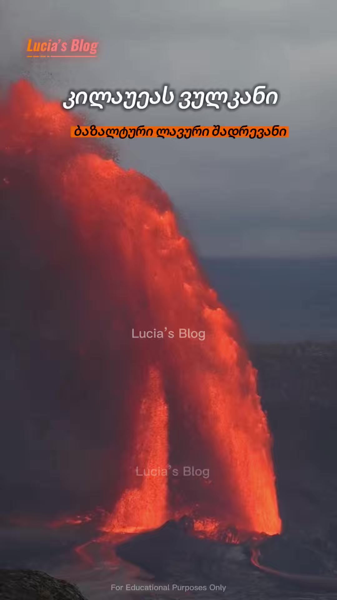 @Lucia&rsquo;s Blog