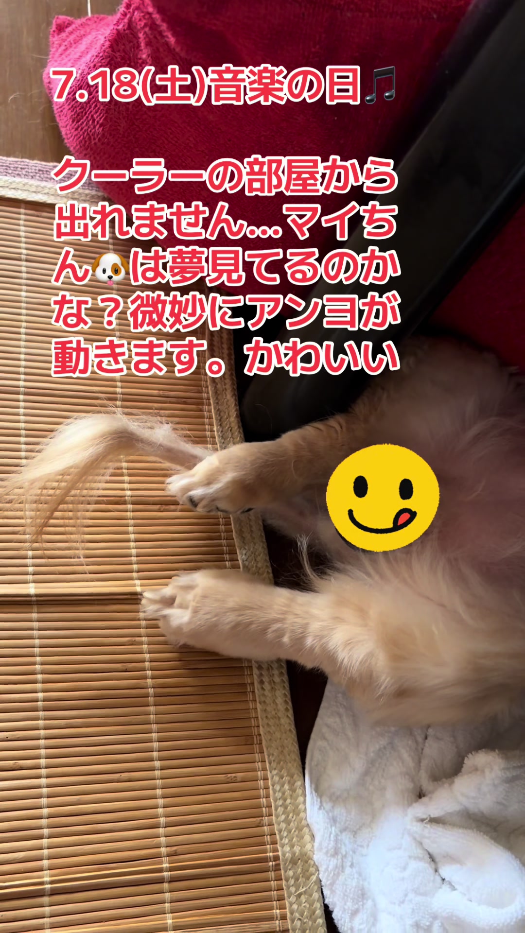 @🦒きりん🦒