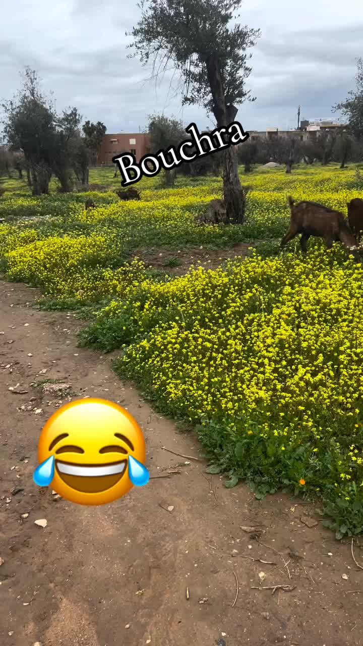 @🌹الأطلسية الحرة🌹