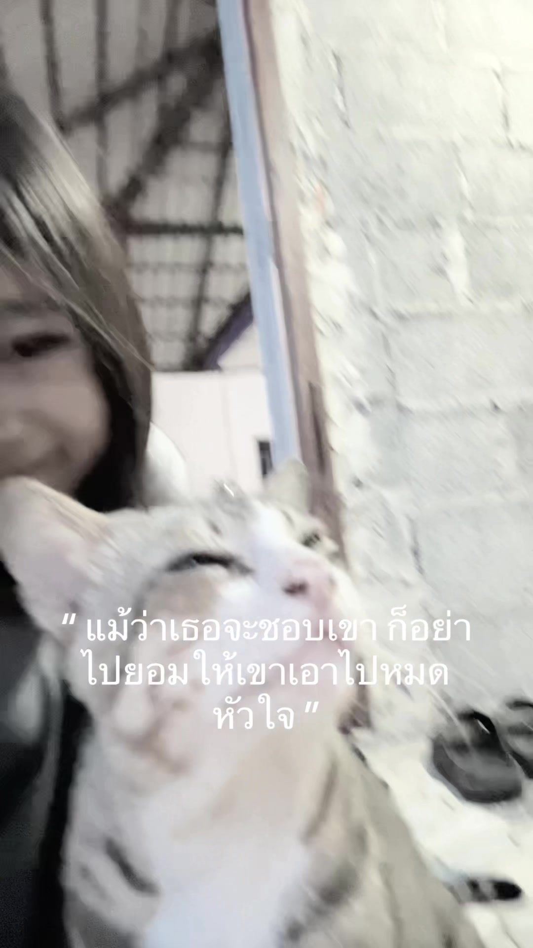 @ไม่ได้ชื่อเกน