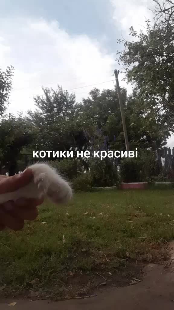 @𝑀𝑒𝑙𝑜𝑑𝑖_𝑀♡
