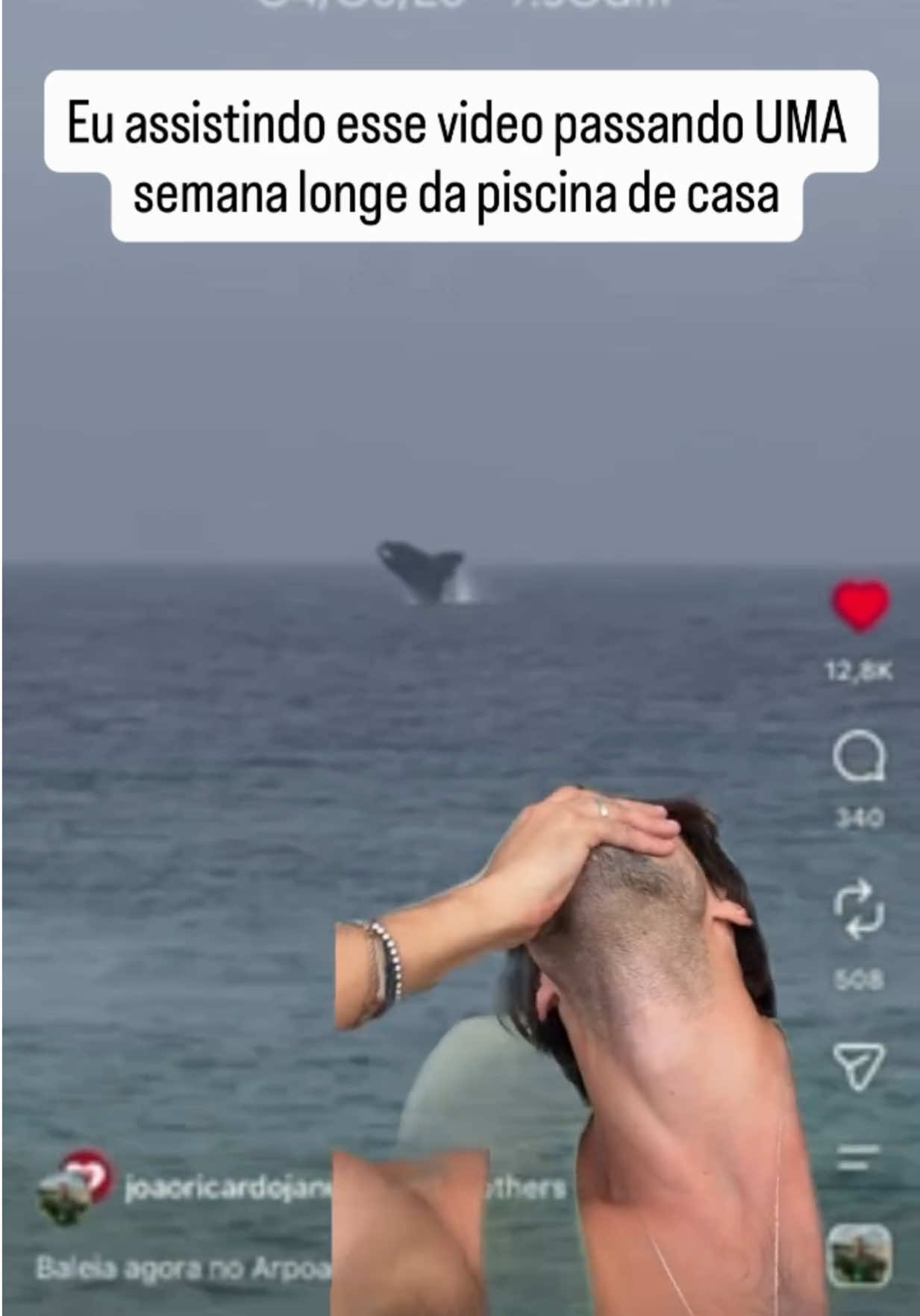 @pedrolutz