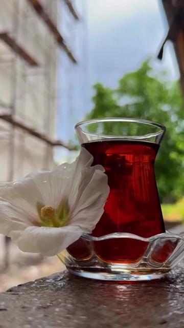@𝓛𝓘̇🌺𝓝𝓔𝓢𝓢