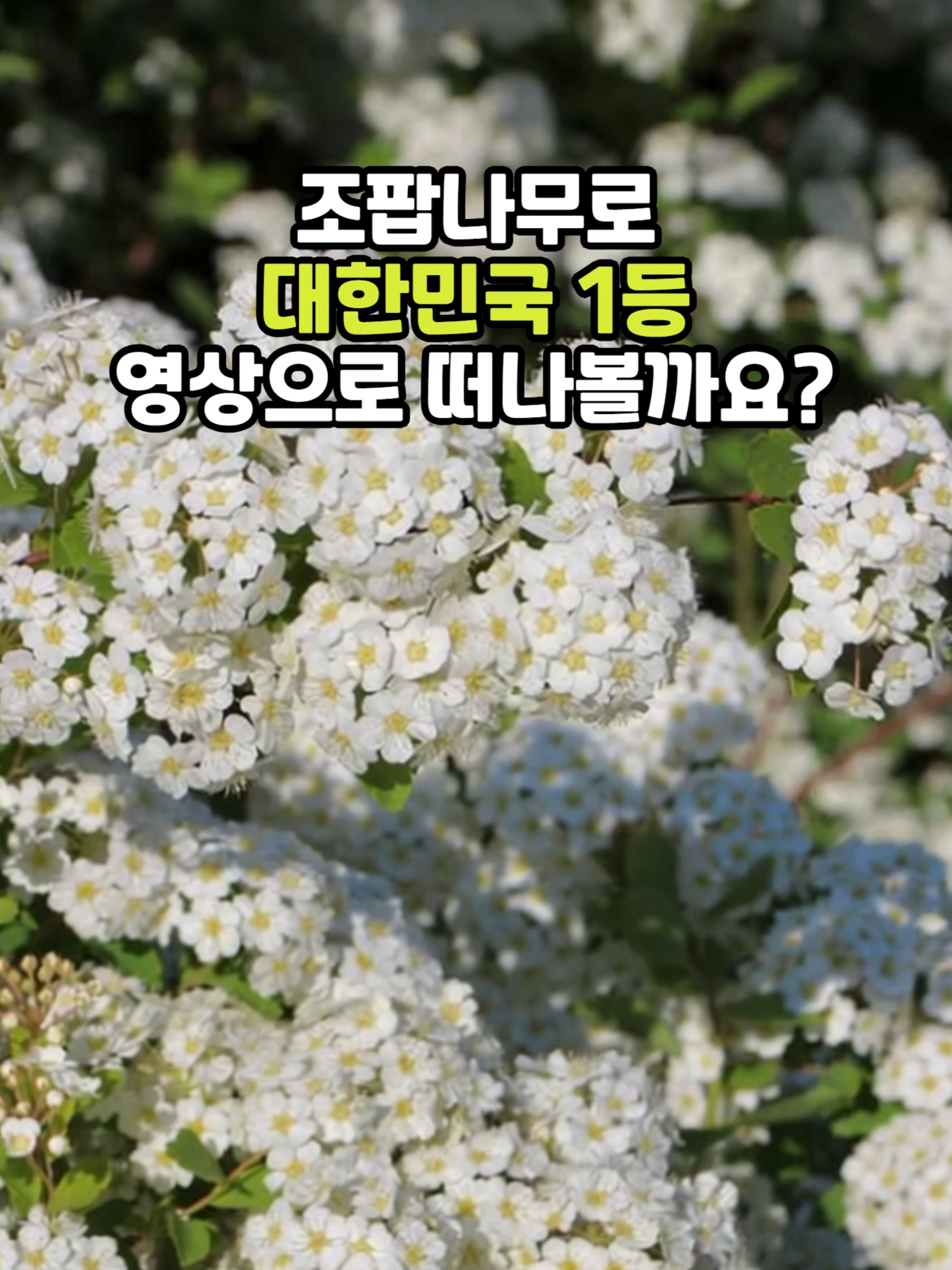 @꽃길
