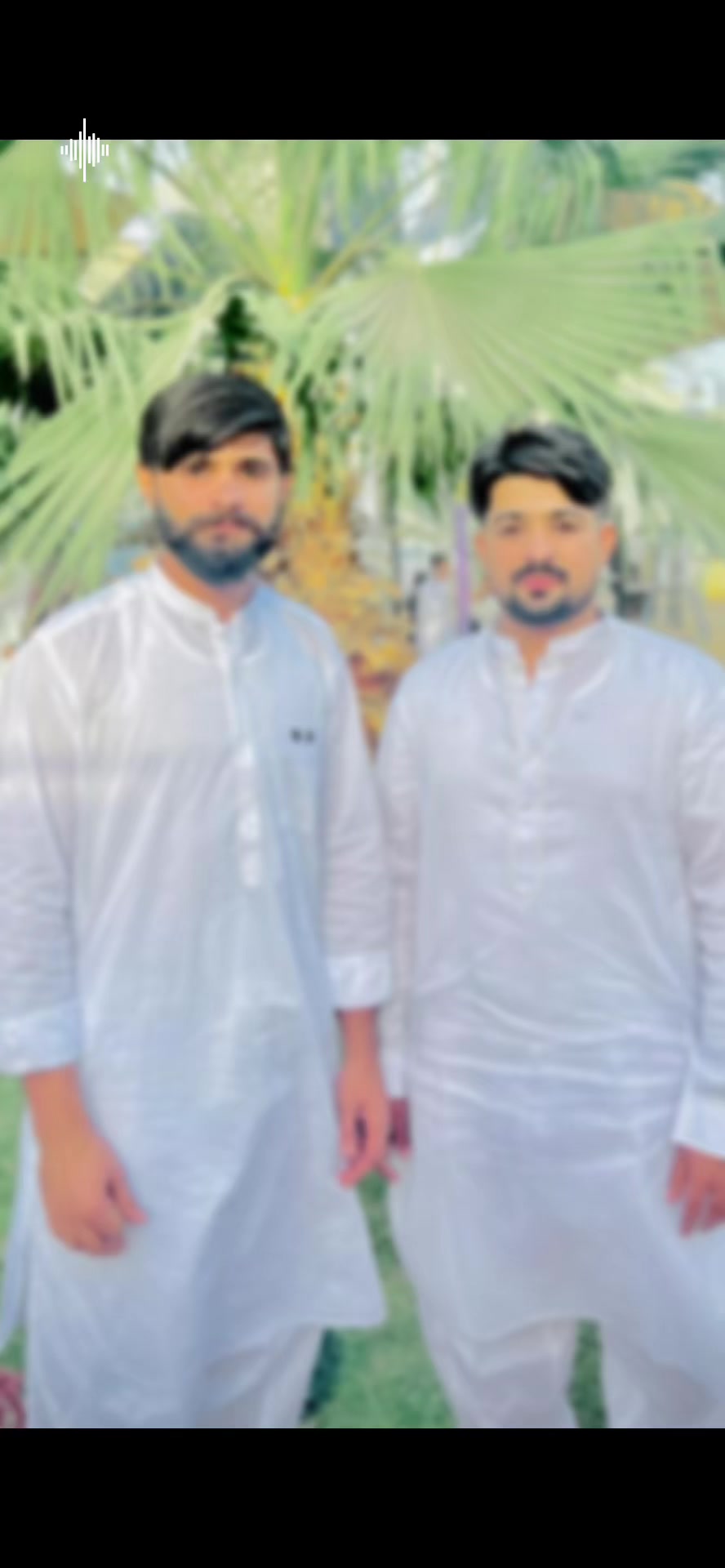 @چوھدری زین ہرل 222گروپ