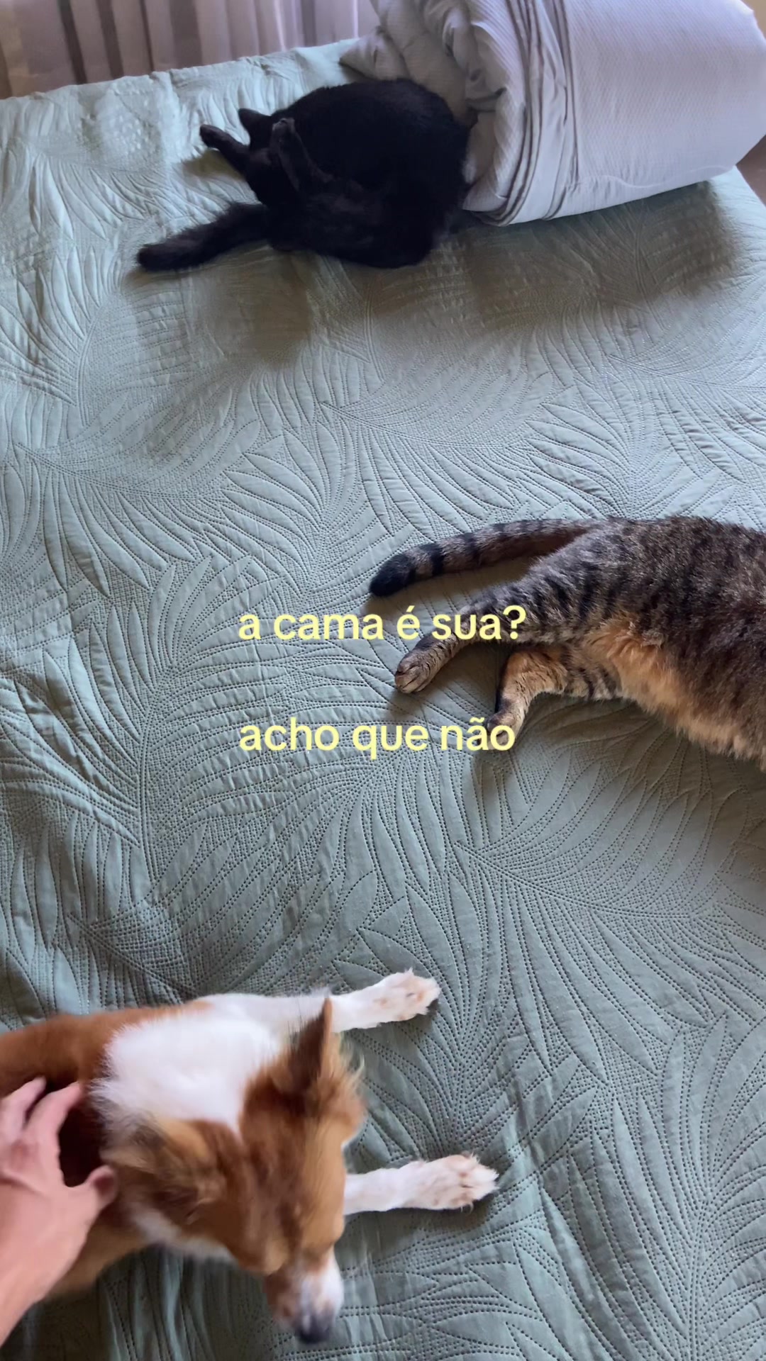 @Gab