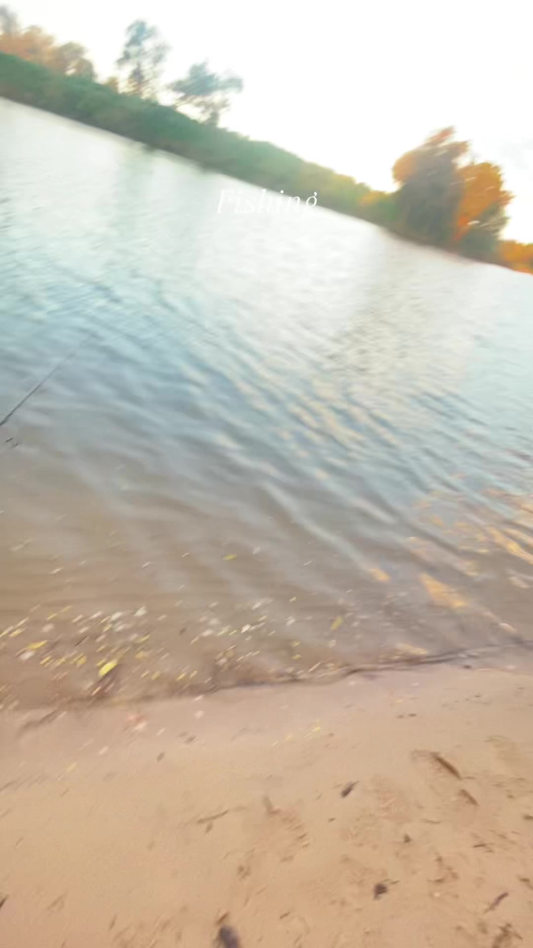 @Fishing_gang