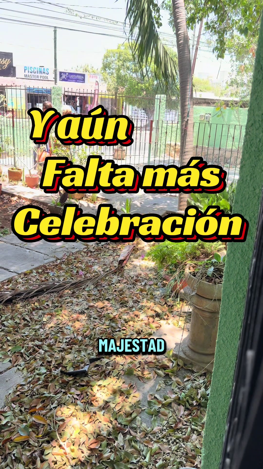 @Misaeleon(Mixo)