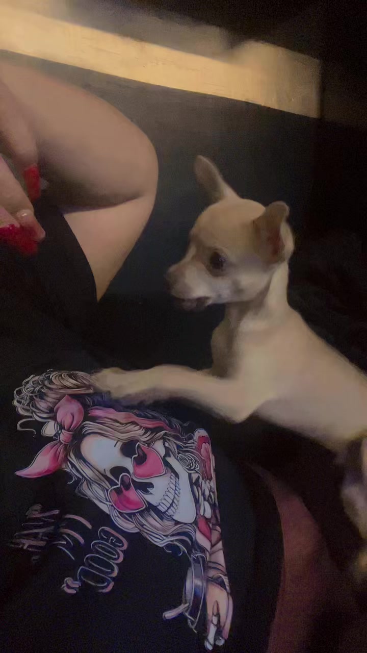 @cesy alias la gatita