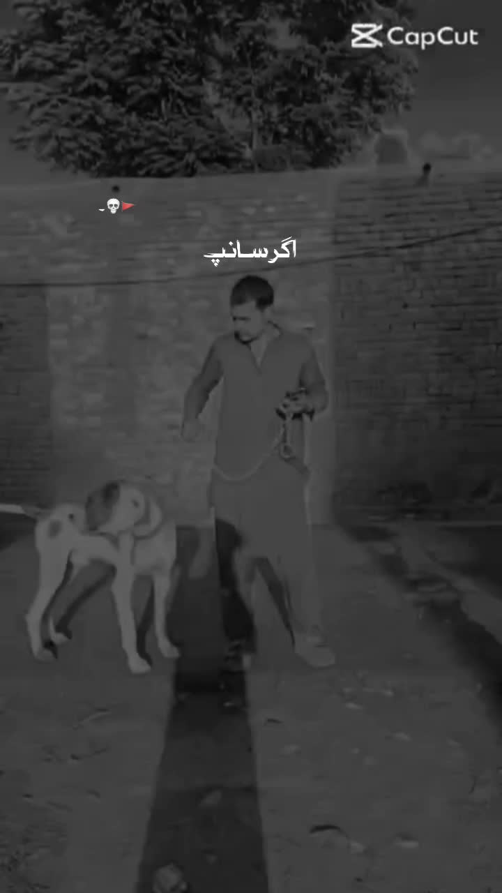 @yusafzai