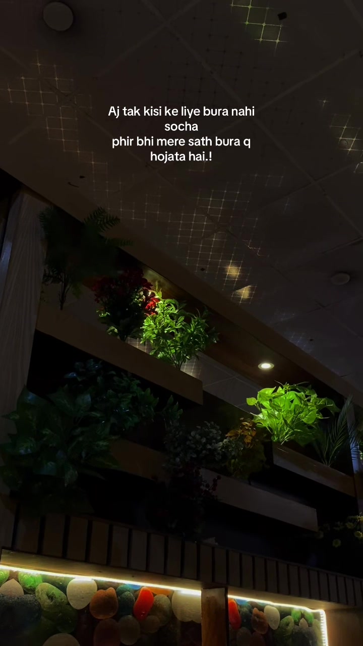 @MIRZA👻