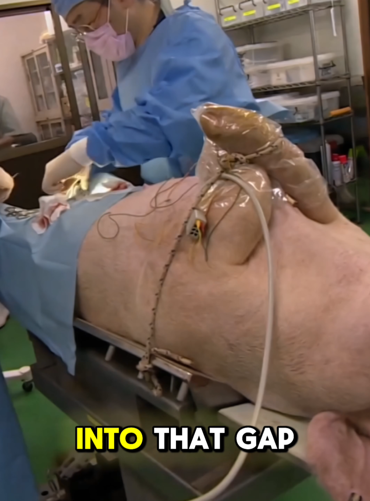 @45sec_facts