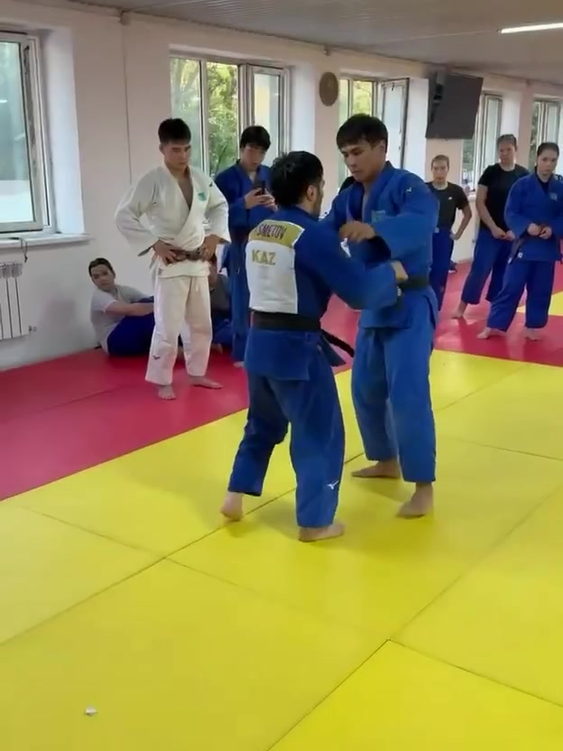 @mir_judo