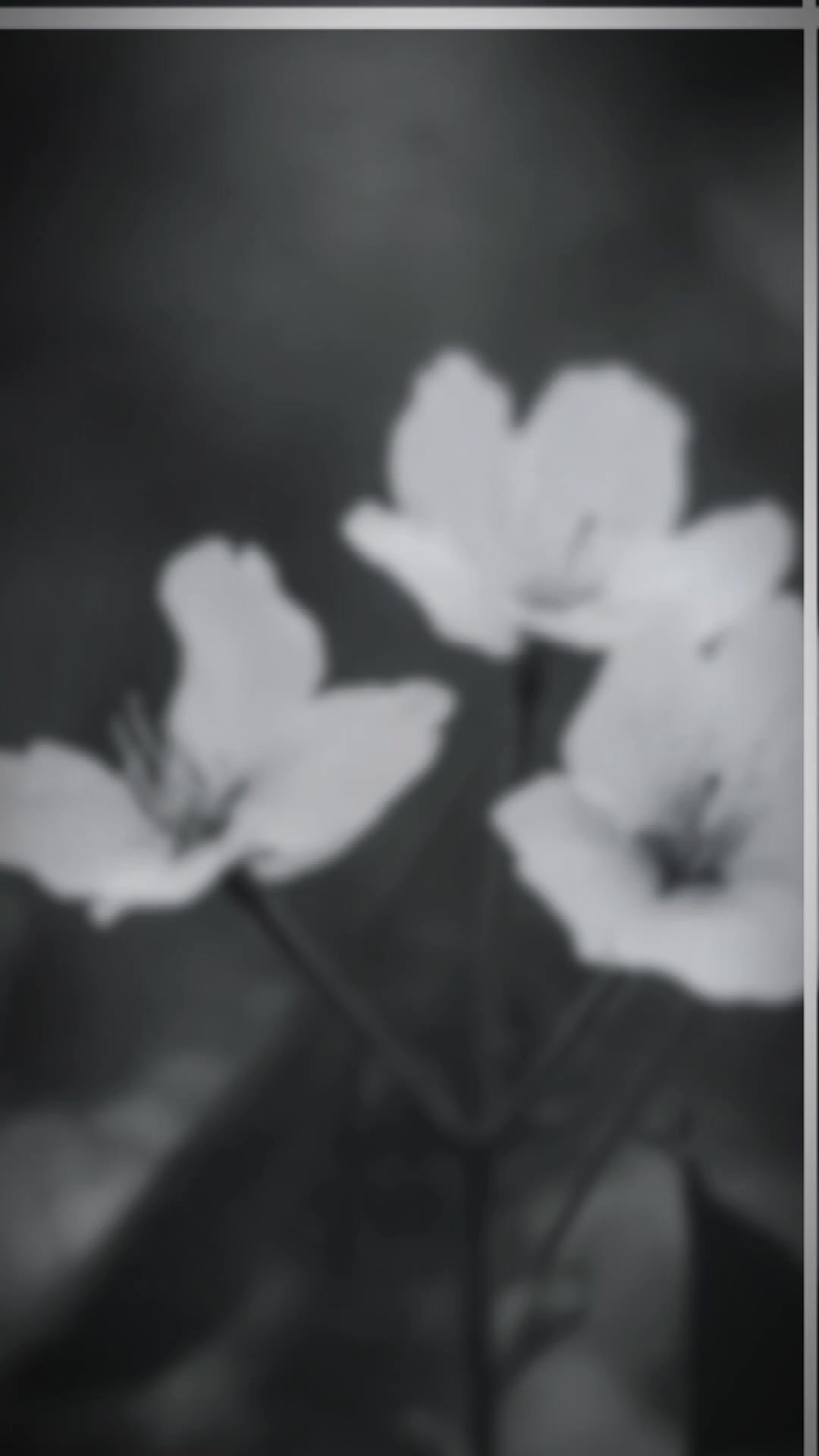 @S_H_E_R_I_N_🦋_ജെസ്സു_🦋