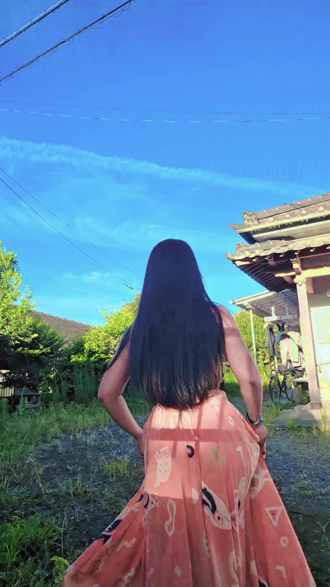 @🌺🐷🇯🇵テースモー🇯🇵🐷🌺
