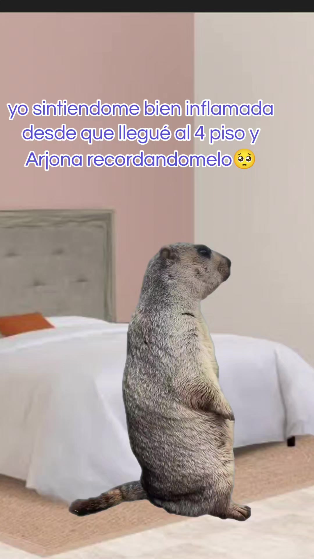 @Ania Yañez