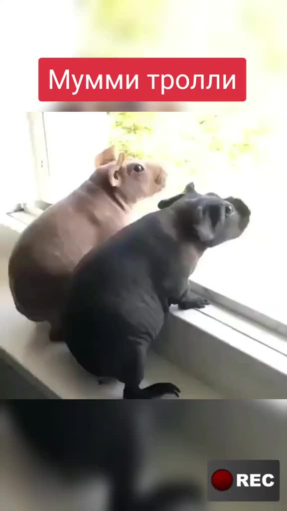 @Лариса