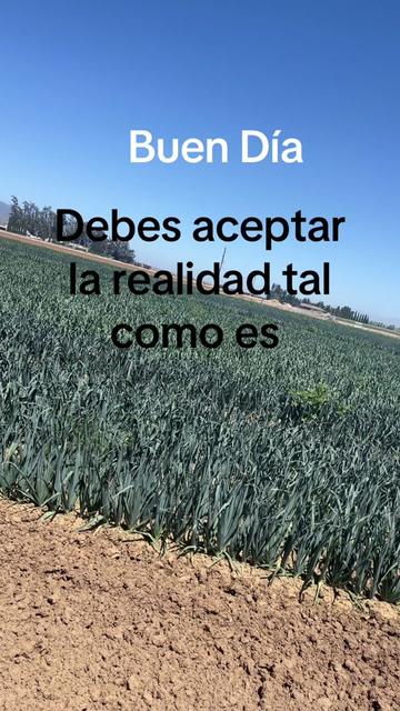 @aparicio.1267