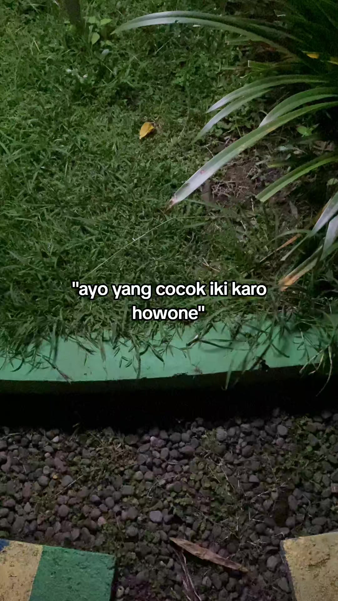 @💢💢💢💢🎱