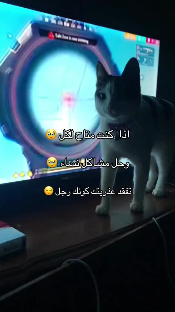 @Onlyakema