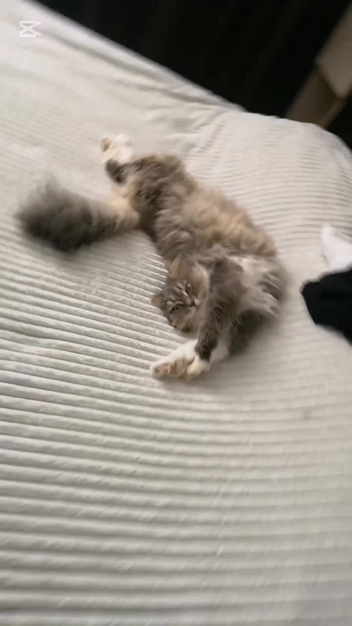@ЕвГений