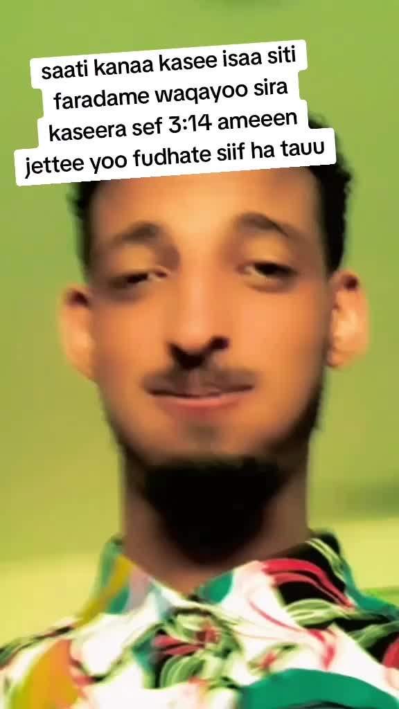 @geecho ambo