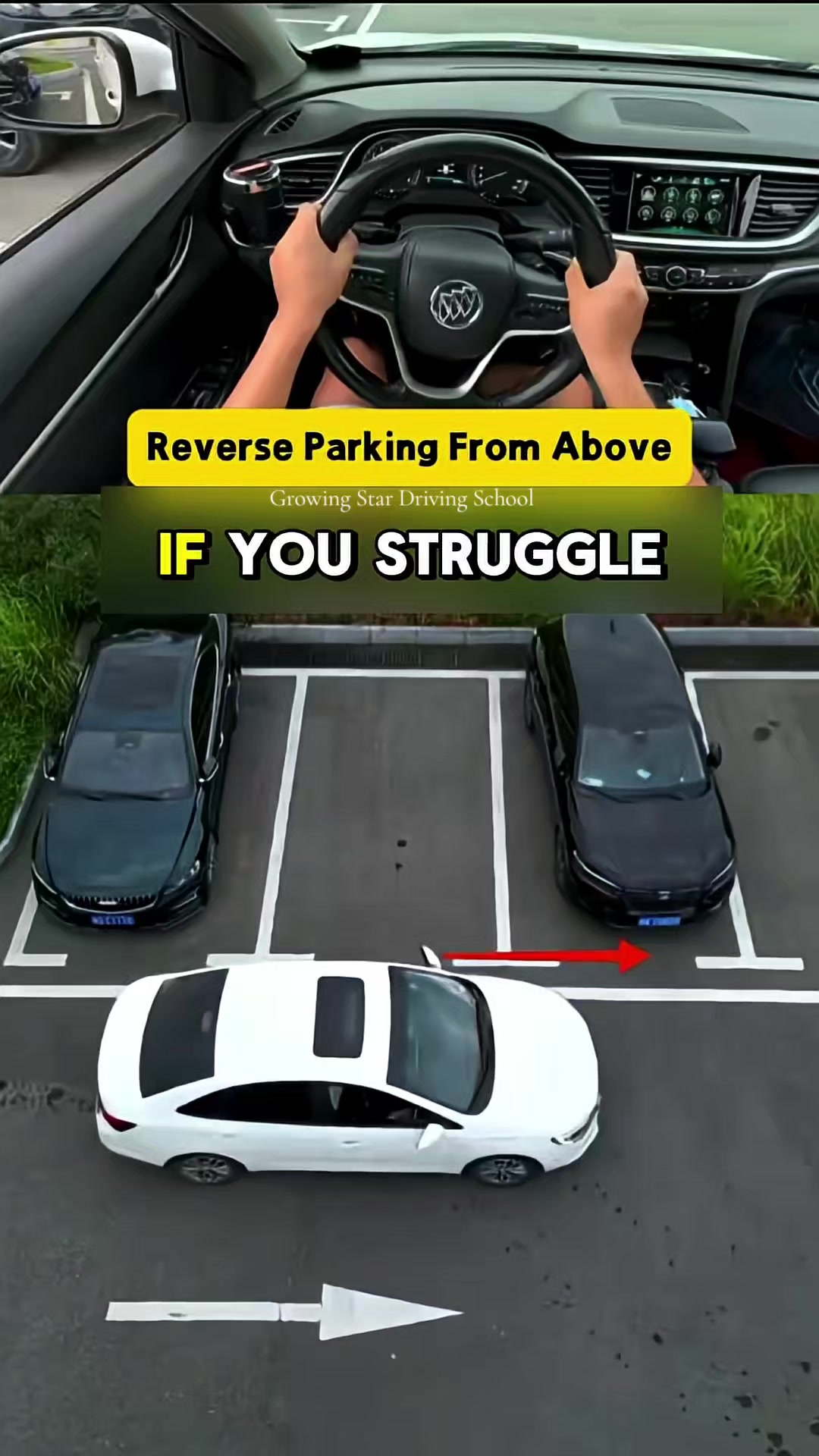 @Growing Star Driving School