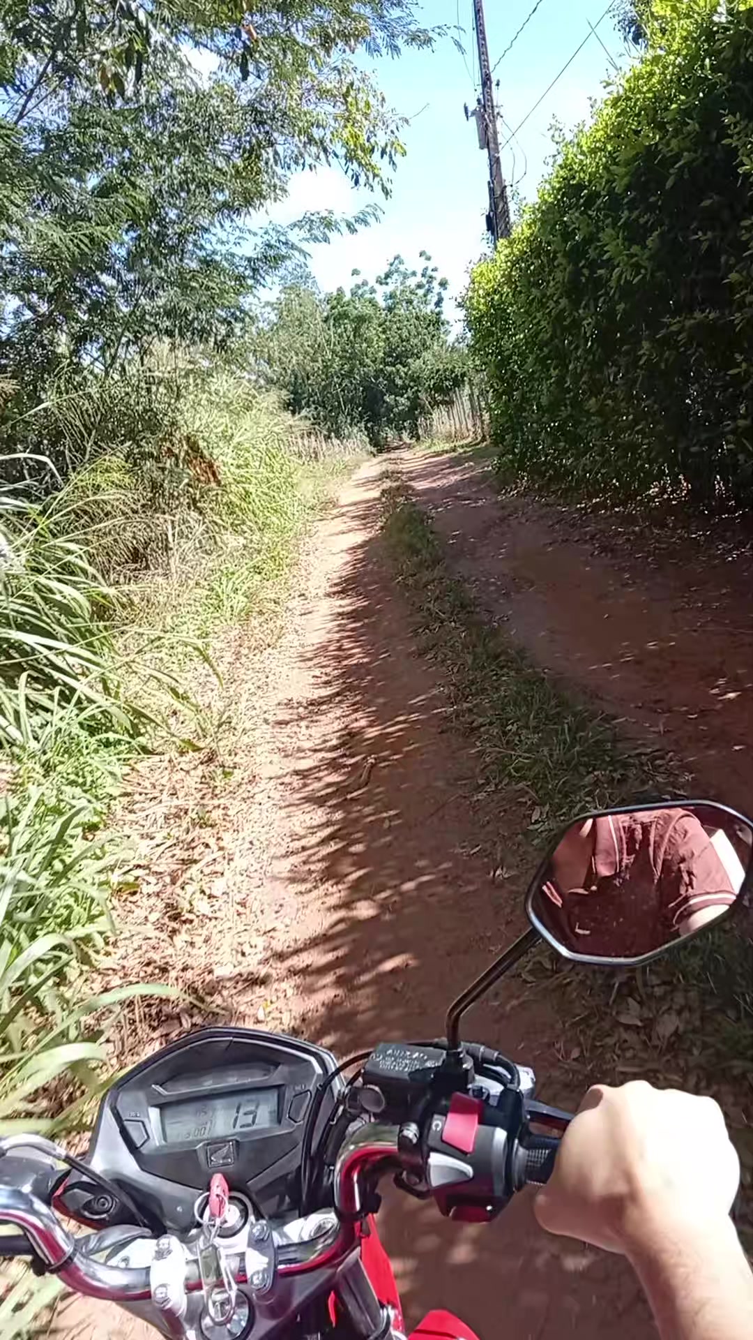 @Beatriz Dias