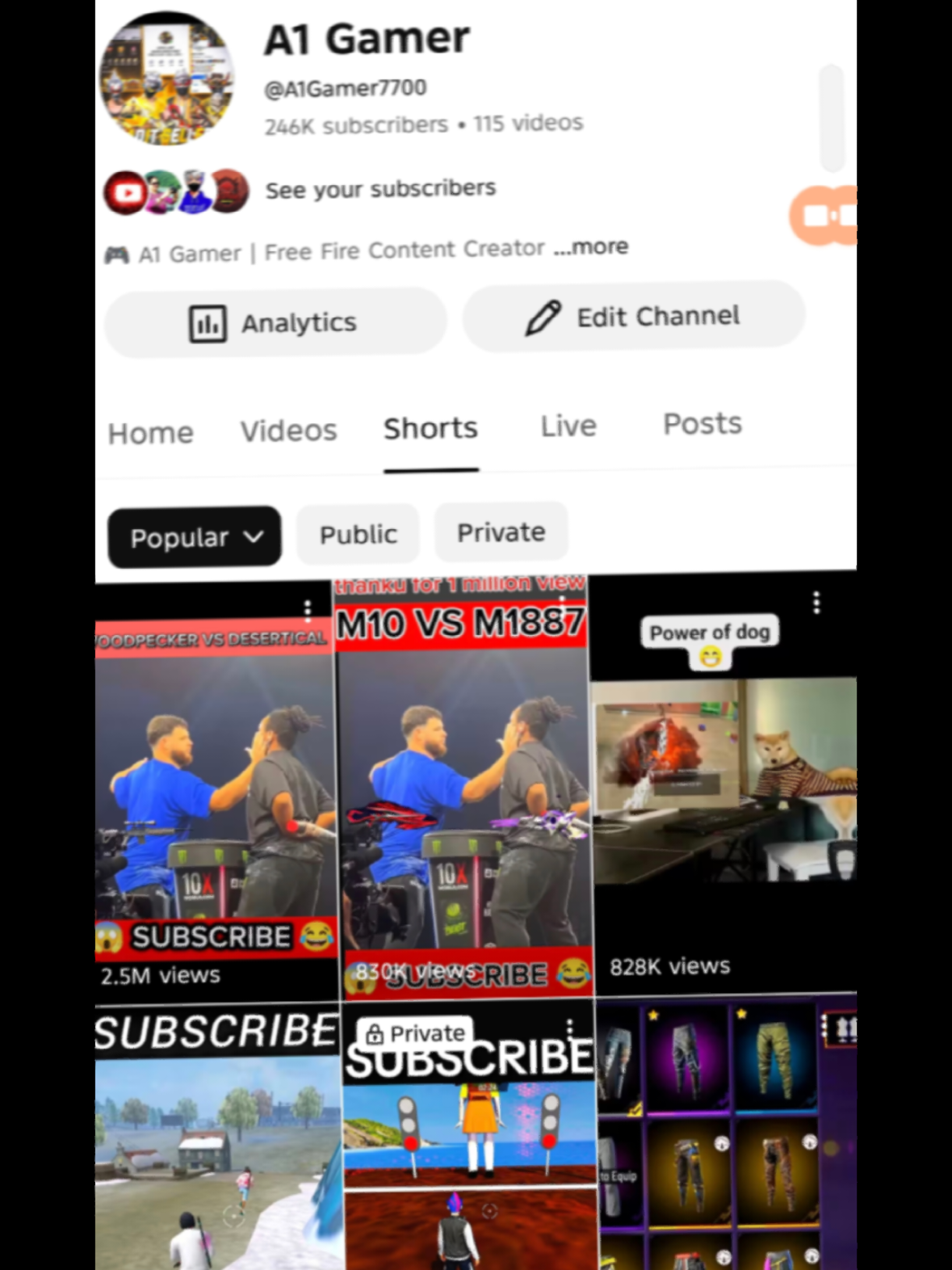 @A1 Gamer