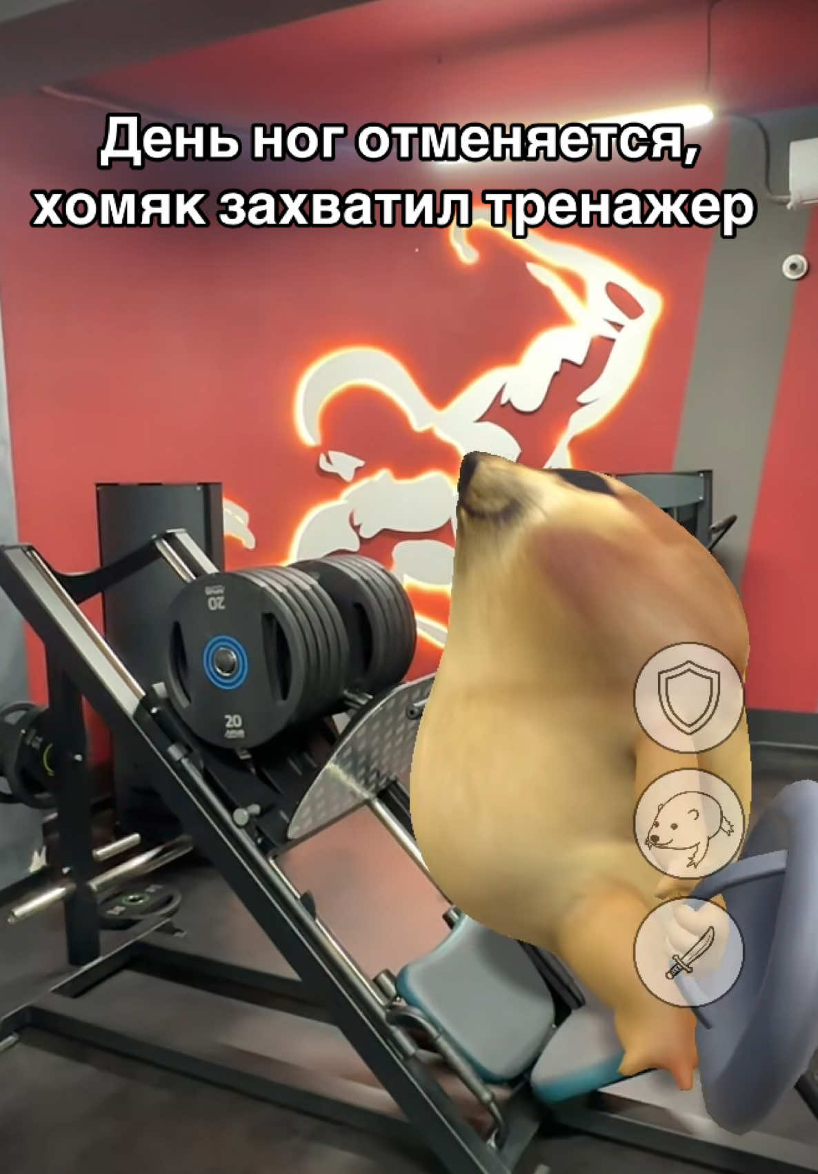 @ФІТНЕС ТРЕНЕР | РЕАБІЛІТОЛОГ
