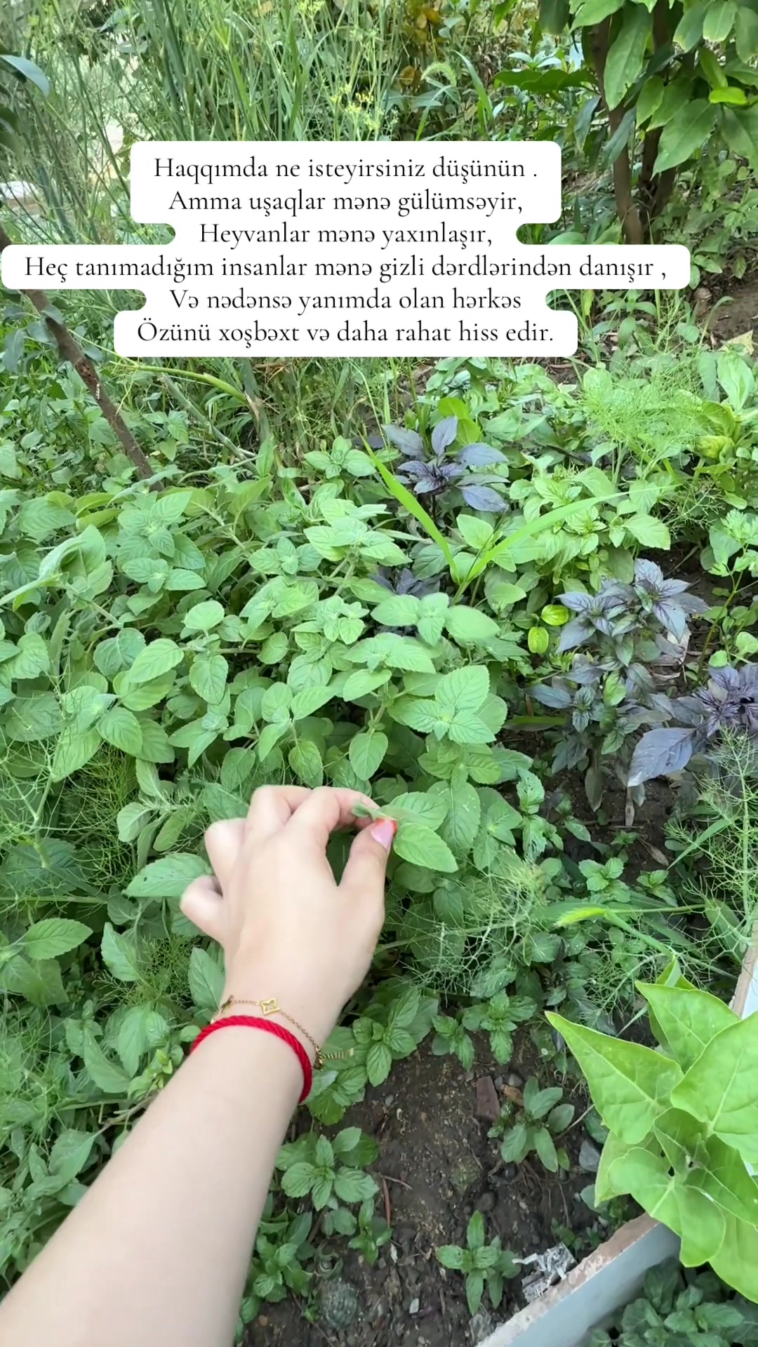 @Zehra.14