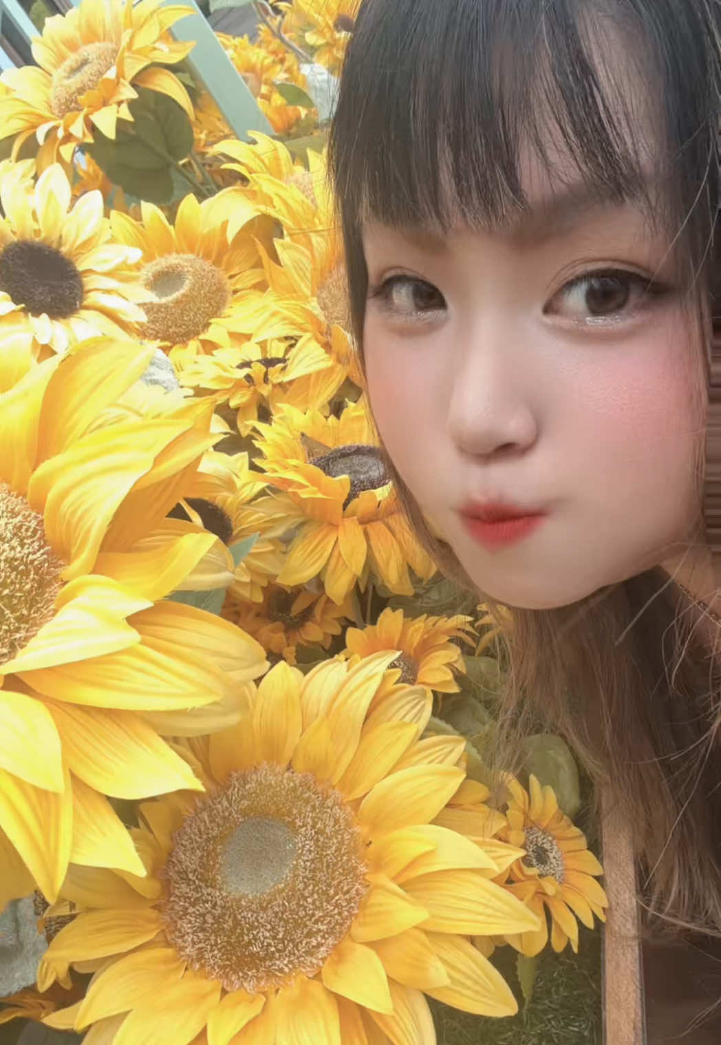 @🏴☠️👑姫咲姫花🥂✨